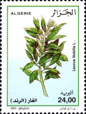 Алжир - Algeria (2002)