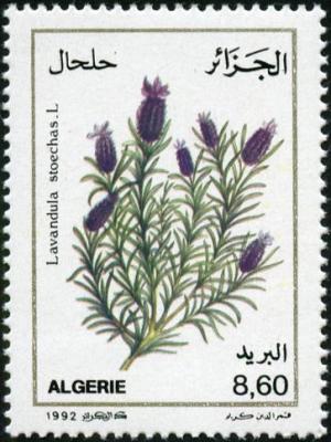 Алжир - Algeria (1992)