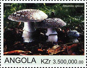 Angola 2000