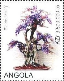 Ангола - Angola (2000)