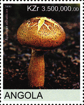 Ангола - Angola (2000)