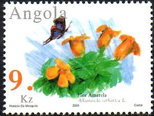 Angola 2001