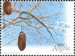 Angola 2004
