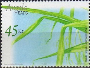 Angola 2004