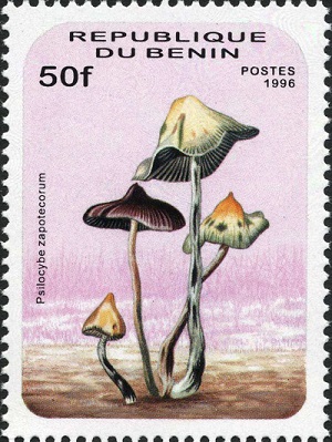 Benin 1996