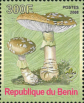 Benin 2008