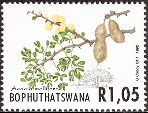 Bophutatswana 1992