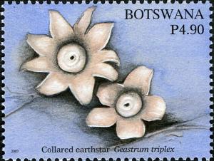 Botswana 2007