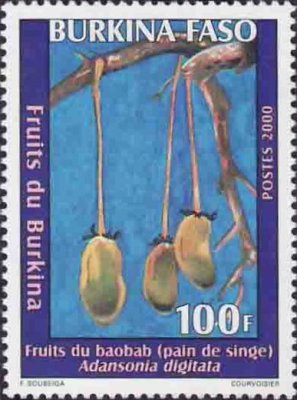 Burkina 2000