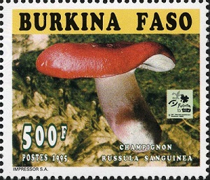 Буркина-Фасо - Burkina Faso (1996)