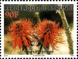 Burundi 2008