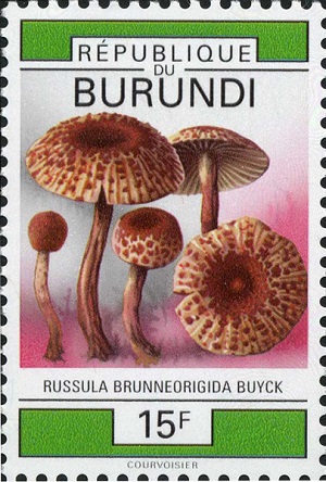 Burundi 1992