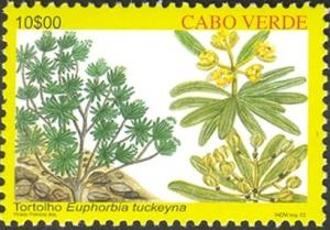 Cape Verde 2002