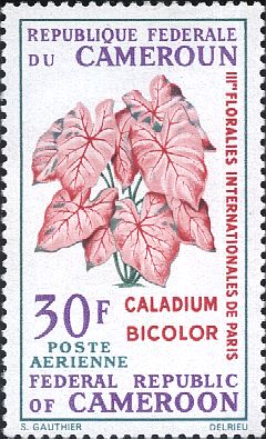 Камерун - Cameroun (1969)
