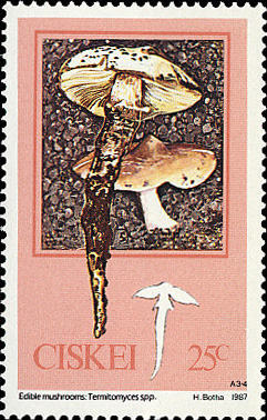 ЮАР - South Africa (Сискей - Ciskei - T.reticulatus - 1987)