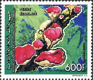 Comores 1992