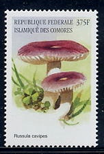 Comoros 1999