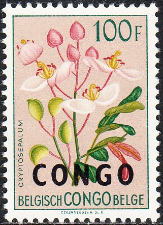 Congo 1960