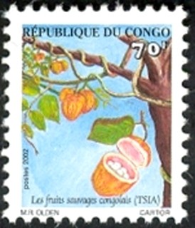 Конго - Congo 2002