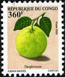 Congo 2005