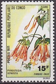Congo 1971