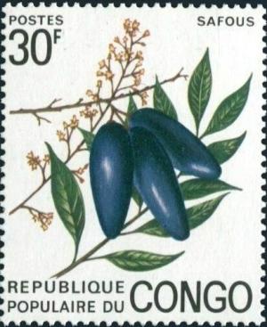 Congo 1974
