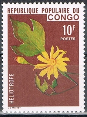 Congo 1976