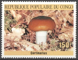 Congo 1985