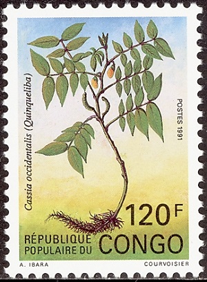 Конго - Congo (1991)