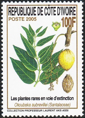 Ivory Coast 2008