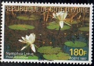 Ivory Coast 1997