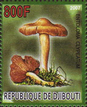 Djibouti 2007