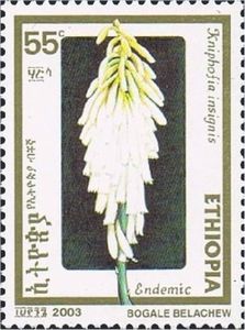 Ethiopia (K.insignis - 2003)