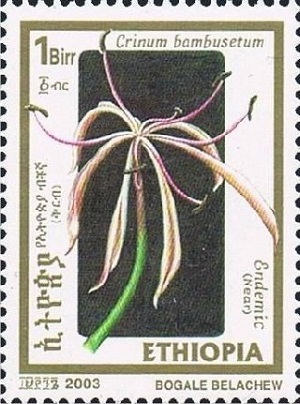 Ethiopia 2003