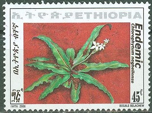 Ethiopia 2006