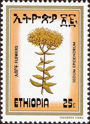 Эфиопия - Ethiopia (S.epidendrum - 1984)