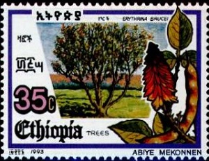 Эфиопия - Ethiopia 1993