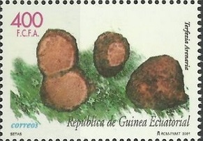 Экваториальная Гвинея - Equatorial Guinea (2001)