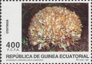 Eq.Guinea 1997