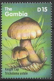 Gambia 2000