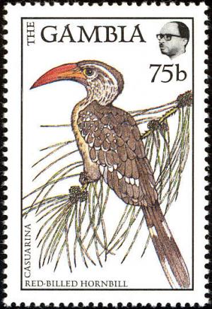 Гамбия - Gambia (Casuarina sp.- 1988)