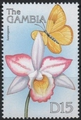 Gambia 1999