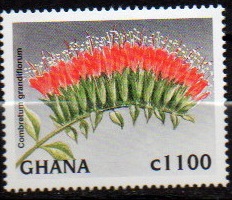 Гана - Ghana (С.grandiflorum - 1997)