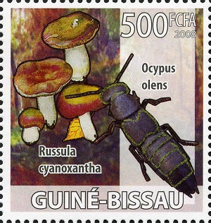 Guinea Bissau 2008