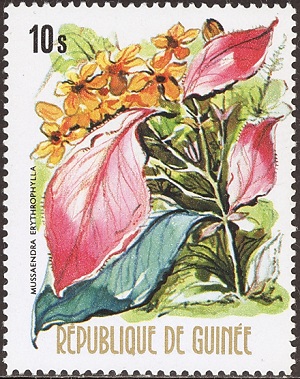 Guinea 1974