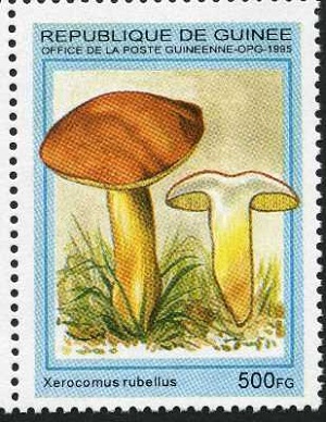Guinea 1995