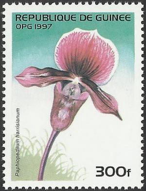 Гвинея - Guinea 1997 