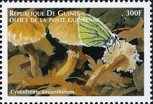 Гвинея - Guinea (1999)