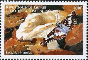 Guinea 1999