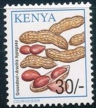 Kenya 2001
